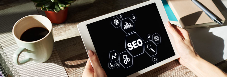 Expertise en leads SEO